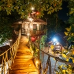 Log Of Paradis