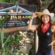 Log Of Paradis