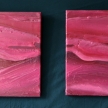 img_7555 img_7555