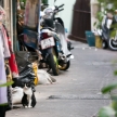 Street Life, Bangkok