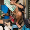 BANGKOK, - FEBUARY 10 : Chinese New Year 2013 - Celebrations in