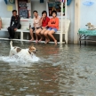 BANGKOK, THAILAND - NOVEMBER 17 : Flooding in Bangkok, Thailand