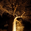 IMG_0240 IMG_0240