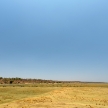 IMG_0575 IMG_0575