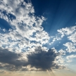 IMG_9667 IMG_9667