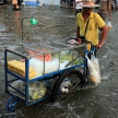 BANGKOK, THAILAND - NOVEMBER 17 : Flooding in Bangkok, Thailand