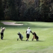 Golf Course - Luxury International Standard