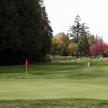 Golf Course - Luxury International Standard