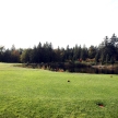 Golf Course - Luxury International Standard