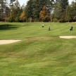 Golf Course - Luxury International Standard