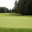 Golf Course - Luxury International Standard