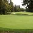 Golf Course - Luxury International Standard