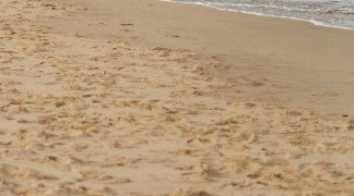 Bondi Beach, Sydney, Australia
