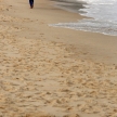 Bondi Beach, Sydney, Australia Bondi Beach, Sydney, Australia