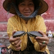 Jade Emperor Pagoda, Vietnam