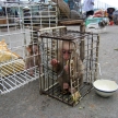 Ho Chi Minh, Vietnam