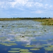 Lake Landscape - Lake Anapa - Uganda, Africa