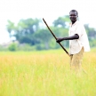 Fisherman - Lake Anapa - Uganda, Africa