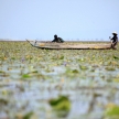 Floating Fishing Village - Uganda, Africa