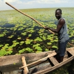 Floating Fishing Village - Uganda, Africa