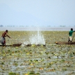 Traditional Fishing Technique - Uganda, Africa