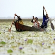 Floating Fishing Village - Uganda, Africa