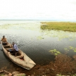 Lake Landscape - Lake Bisina - Uganda, Africa