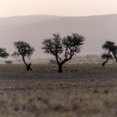 Sossusvlei, Namibia