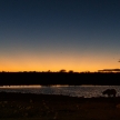 Black Rhino - Etosha Safari Park in Namibia