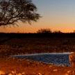 Black Rhino - Etosha Safari Park in Namibia