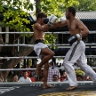 img_9033 img_9033