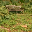 Lone Bench