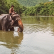 SUP Yoga Adventure Thailand