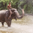 SUP Yoga Adventure Thailand