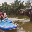 SUP Yoga Adventure Thailand