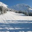 img_2131 img_2131