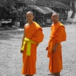 Buddhist Monks