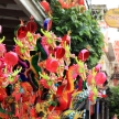 BANGKOK, - JANUARY 23 : Chinese New Year 2012 - Celebrations in