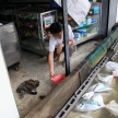 BANGKOK, THAILAND - NOVEMBER 17 : Flooding in Bangkok, Thailand