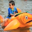 BANGKOK, THAILAND - NOVEMBER 17 : Flooding in Bangkok, Thailand