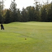 Golf Course - Luxury International Standard