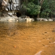 Khao Sok N.P.