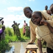 Lake Anapa - Uganda, Africa