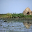 Floating Fishing Village - Uganda, Africa