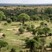 Landscap in Africa, Tanzania, Africa