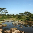 River - Serengeti Safari, Tanzania, Africa