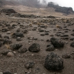 Mt Kilimanjaro, Tanzania, Africa