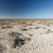 Etosha Safari Park in Namibia