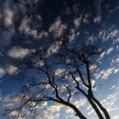 Etosha Safari Park in Namibia