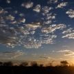 Etosha Safari Park in Namibia